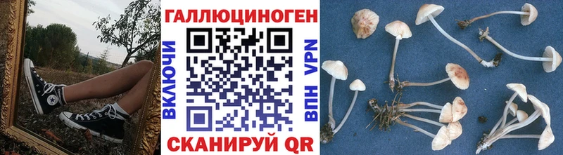 гидра зеркало  Ковров  Псилоцибиновые грибы Magic Shrooms 