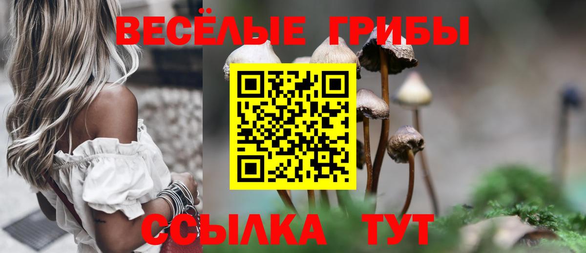 Псилоцибиновые грибы MAGIC MUSHROOMS  что такое   Ковров  Вход с VPN  Псилоцибиновые грибы ЛСД 